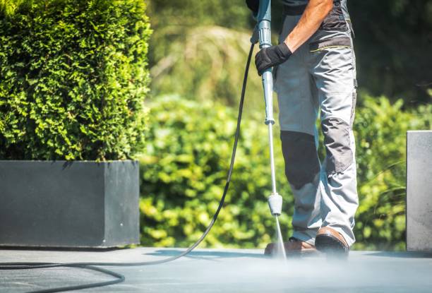 Best Dumpster Area Cleaning  in Island Heights, NJ
