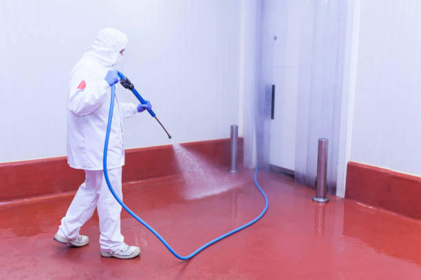 Professional Pressure Washing Services in Island Heights, NJ