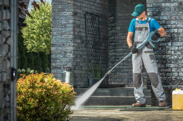 Best Gutter Cleaning  in Island Heights, NJ